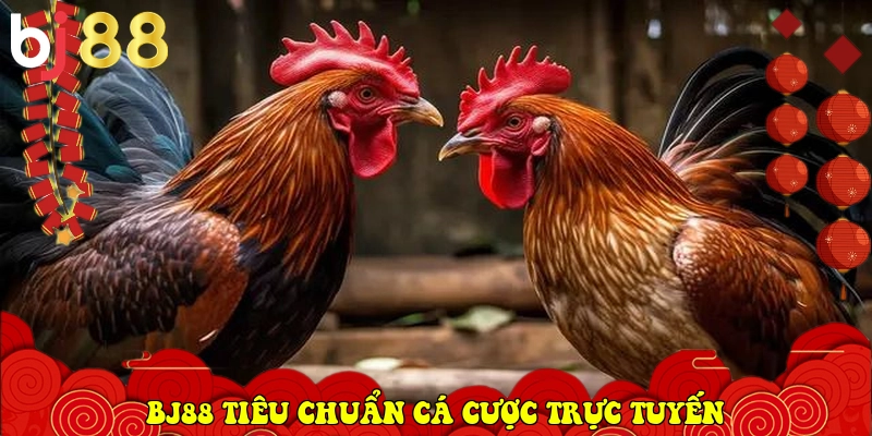 BJ88 ⭐️ Link Vào BJ88.Com Đá Gà Thomo, Casino Uy Tín 2026 28 BJ88 xác lập tiêu chuẩn cá cược trực tuyến