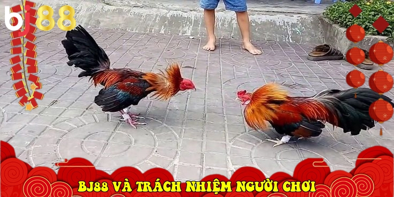 BJ88 ⭐️ Link Vào BJ88.Com Đá Gà Thomo, Casino Uy Tín 2026 38 BJ88 và trách nhiệm người chơi