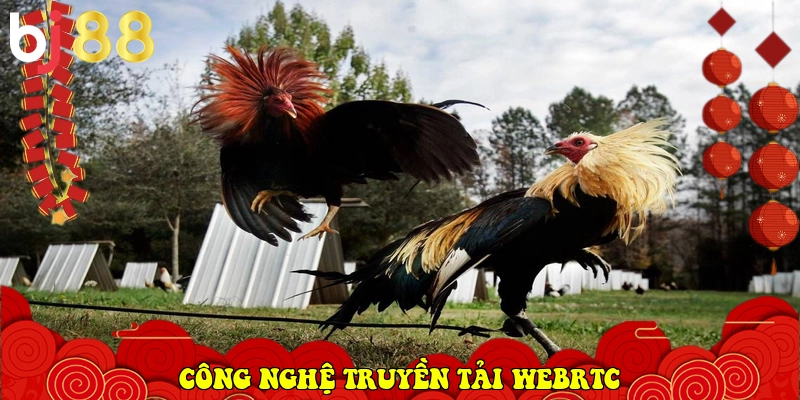 BJ88 ⭐️ Link Vào BJ88.Com Đá Gà Thomo, Casino Uy Tín 2026 29 công nghệ truyền tải WebRTC