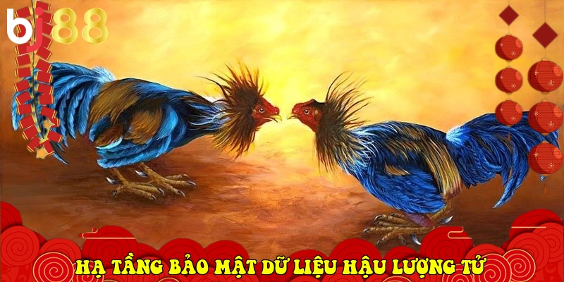 BJ88 ⭐️ Link Vào BJ88.Com Đá Gà Thomo, Casino Uy Tín 2026 31 hạ tầng bảo mật dữ liệu hậu lượng tử