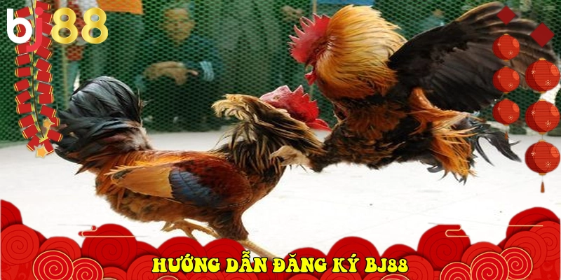 BJ88 ⭐️ Link Vào BJ88.Com Đá Gà Thomo, Casino Uy Tín 2026 36 Hướng dẫn đăng ký BJ88